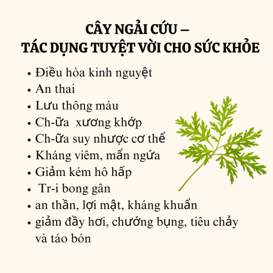 "Bó Ngải Cứu đốt xông nhà" tẩy uế tắm tẩy trần xả xui đốt phong long thay đổi vận khí, xông hơi, xông mặt