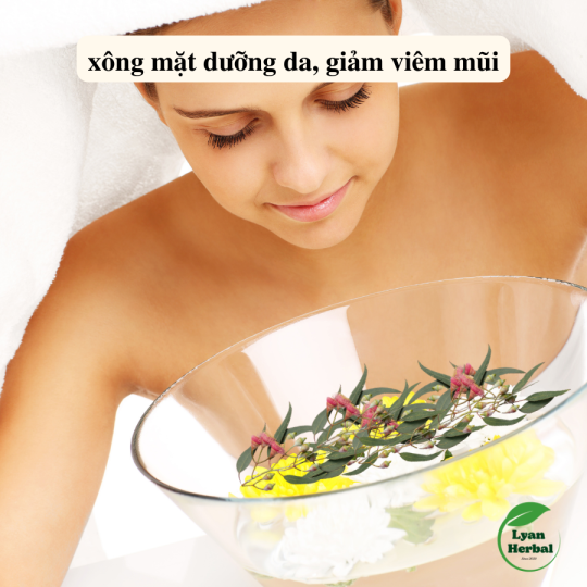 Lá Bạch Đàn Khô (Eucalyptus leaves dried) hàng chuẩn mộc không hóa chất