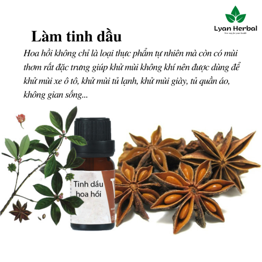 Hoa Hồi khô (Túi 1Kg) Đại Hồi gia vị nấu phở bò, nấu ăn, nấu thuốc Bắc...