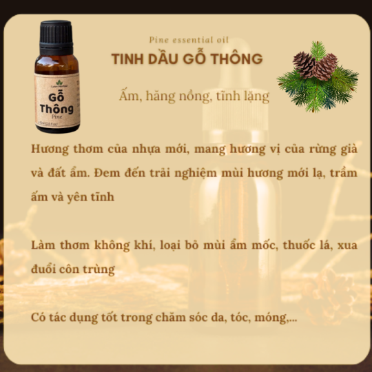 Tinh Dầu Gỗ Thông (Pine) 15ml, Tinh Dầu Thiên Nhiên cam kết đúng mùi tự nhiên
