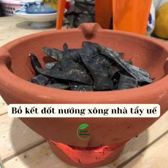 Bồ Kết khô nguyên trái đốt xông nhà tẩy uế trừ tà xả xui phong thủy