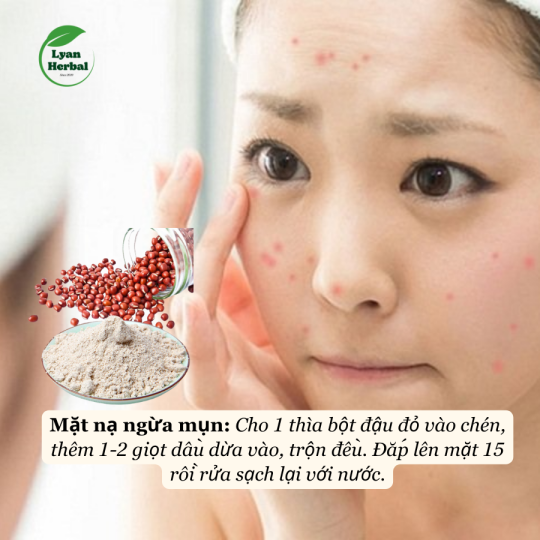 Bột Đậu Đỏ nguyên chất làm mặt nạ bột thiên nhiên đắp mặt dưỡng da 