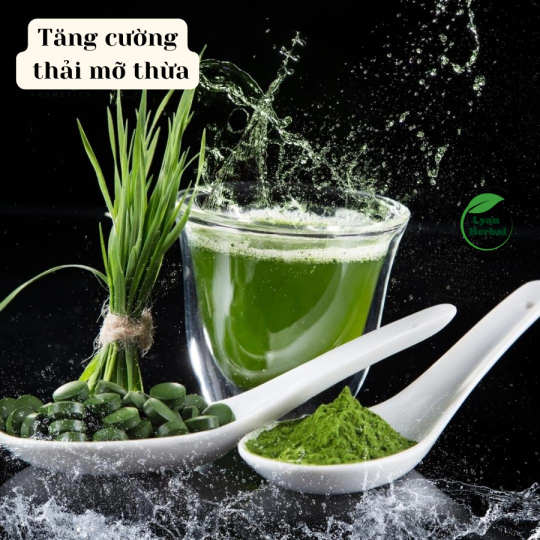 Bột Tảo Biển thiên nhiên dùng làm mặt mạ đắp mặt, tái tạo da, giảm thâm mụn dưỡng da trắng -1kg