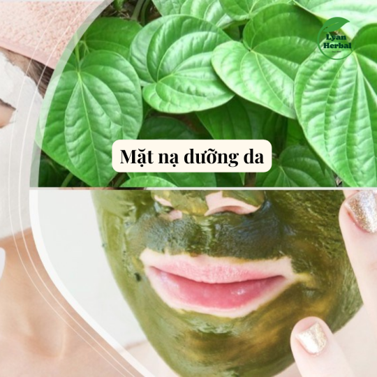 Bột Lá trầu không bột thiên nhiên dùng làm mặt mạ chăm sóc da mặt, tẩy tế bào chết, giảm mụn, giảm thâm dưỡng da- 1kg