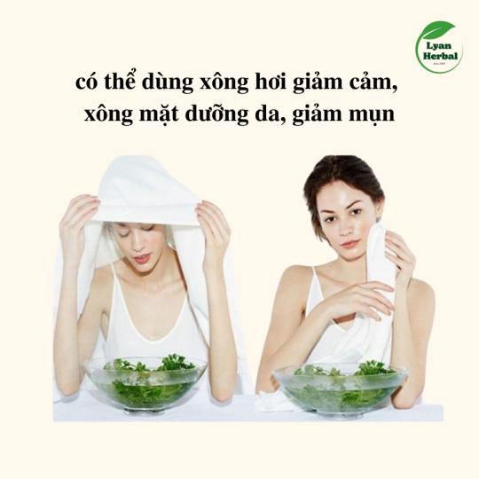"Bó Ngải Cứu đốt xông nhà" tẩy uế tắm tẩy trần xả xui đốt phong long thay đổi vận khí, xông hơi, xông mặt