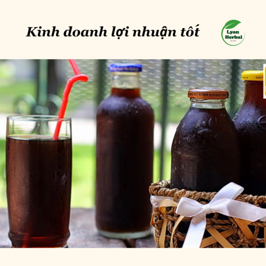 Sâm Atiso hạt chia mát gan 6 vị thảo mộc giúp mát gan thải độc gan, đẹp da, giảm mỡ, giảm mụn, thanh nhiệt ngày hè