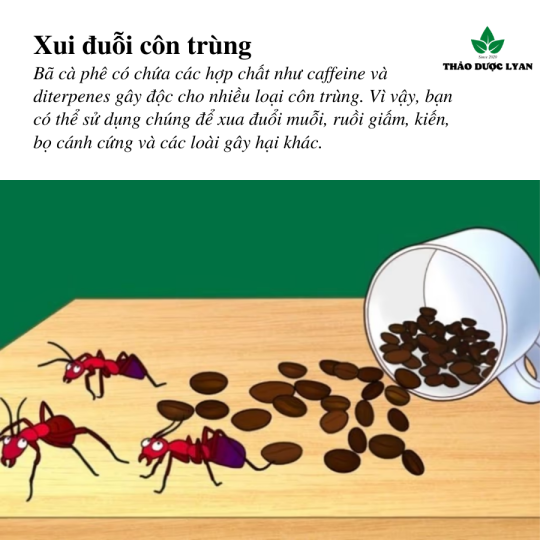 Bột Cà Phê mịn nguyên chất tẩy tế bào chết dưỡng da -1kg
