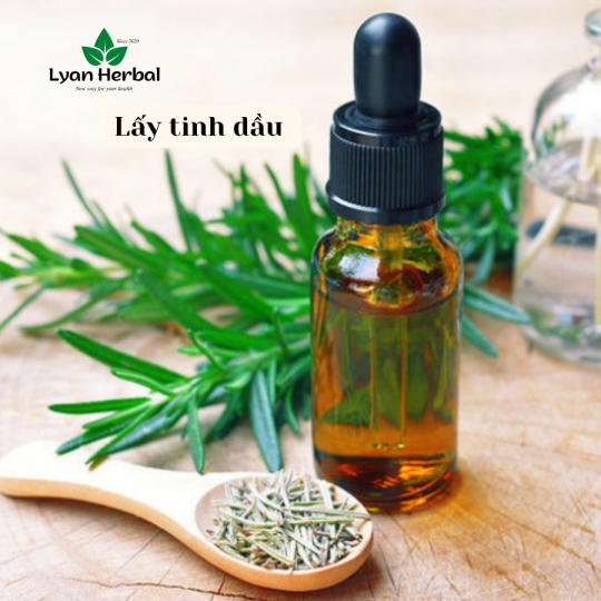 Lá Hương Thảo sấy khô ( 1Kg)  đã tách cành dùng nấu ăn, ướp thịt nướng, nấu nước ủ tóc dưỡng tóc