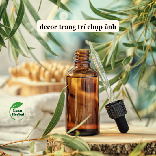 Lá Bạch Đàn Khô (Eucalyptus leaves dried) hàng chuẩn mộc không hóa chất