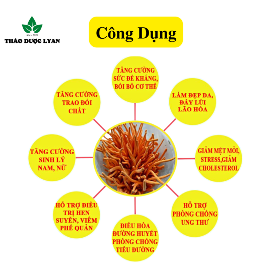 Trà "Bổ Dưỡng" đông trùng táo đỏ kỷ tử bồi bổ khí huyết bổ sung dinh dưỡng bổ máu hồi phục sức khỏe cho người bệnh