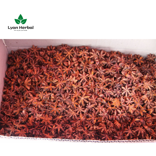 Hoa Hồi khô (Túi 1Kg) Đại Hồi gia vị nấu phở bò, nấu ăn, nấu thuốc Bắc...