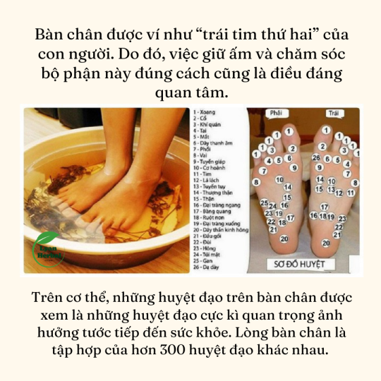 Muối ngâm chân Thuốc Bắc 500g/hủ (loại tốt) có quế hồi gừng khử hôi chân, giảm phong thấp,ngủ ngon