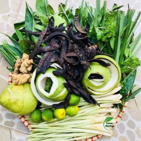 Bồ Kết khô nguyên trái đốt xông nhà tẩy uế trừ tà xả xui phong thủy