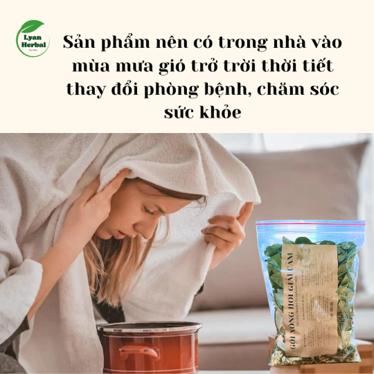 Gói xông hơi giải cảm giảm ho sốt giảm phong hàn cảm lạnh, hồi phục sức khỏe sau bệnh, tắm giảm rôm sẩy mẩn ngứa