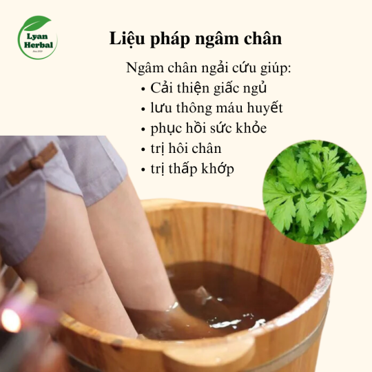 "Bó Ngải Cứu đốt xông nhà" tẩy uế tắm tẩy trần xả xui đốt phong long thay đổi vận khí, xông hơi, xông mặt