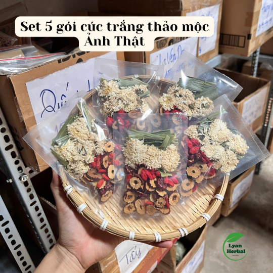 Trà "Dể Ngủ" Cúc Trắng thảo mộc giúp ngủ sâu giấc, thải độc gan, mát gan, thanh lọc cơ thể giảm thâm sạm mụn đẹp da