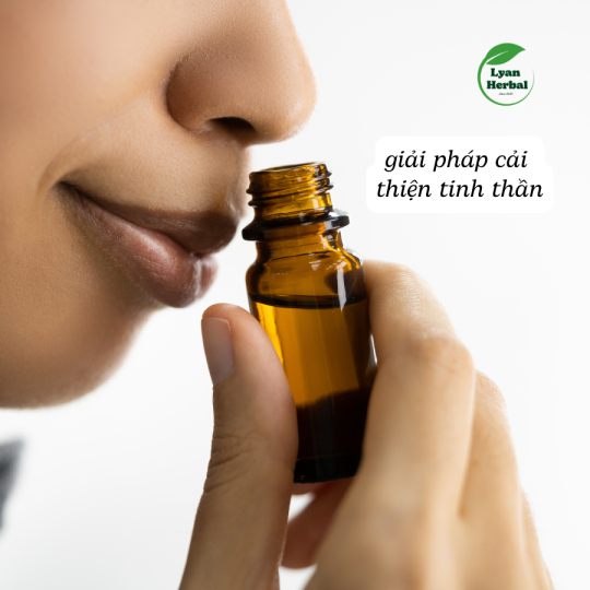 Tinh Dầu Gỗ Thông (Pine) 15ml, Tinh Dầu Thiên Nhiên cam kết đúng mùi tự nhiên