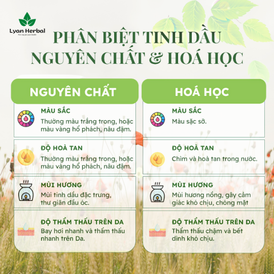 Tinh Dầu Sả Chanh ( Lemongrass Essential Oil) 15ml, Tinh Dầu Thiên Nhiên cam kết đúng mùi