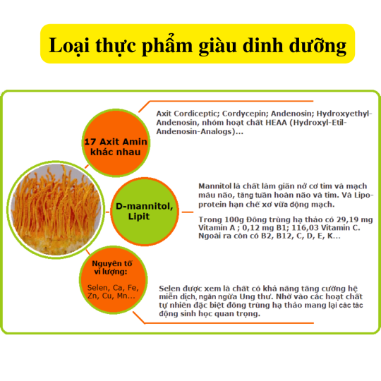 Trà "Bổ Dưỡng" đông trùng táo đỏ kỷ tử bồi bổ khí huyết bổ sung dinh dưỡng bổ máu hồi phục sức khỏe cho người bệnh