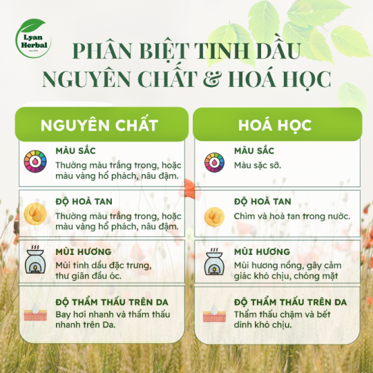 Tinh Dầu Vỏ Quế ( Cinnamon Essential Oil) 15ml, Tinh Dầu Thiên Nhiên cam kết đúng mùi