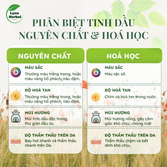 Tinh Dầu Hoa Nhài ( Jasmine Essential Oil) 15ml, Tinh Dầu Thiên Nhiên cam kết đúng mùi