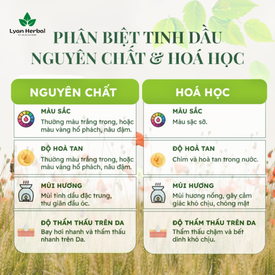 Tinh Dầu Khuynh Diệp ( Eucalyptus Essential Oil) 15ml, Tinh Dầu Thiên Nhiên Cam Kết Đúng Mùi