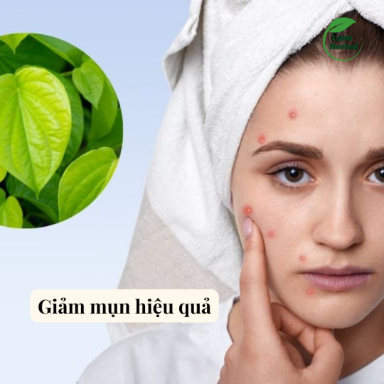 Bột Lá trầu không bột thiên nhiên dùng làm mặt mạ chăm sóc da mặt, tẩy tế bào chết, giảm mụn, giảm thâm dưỡng da- 1kg