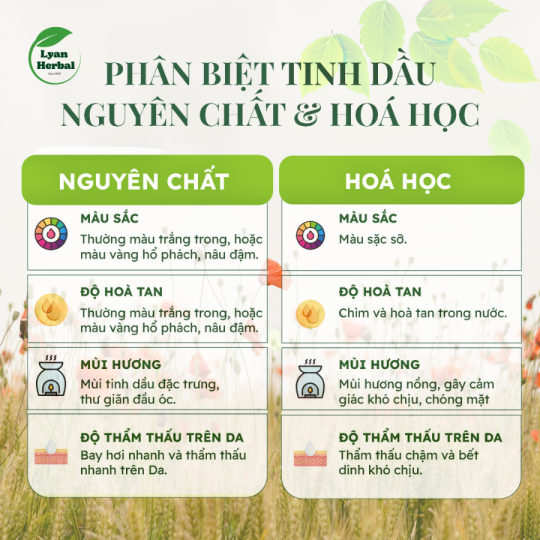 Tinh Dầu Cam Ngọt  ( Sweet Orange Essential Oil) 15ml hương thơm dể chịu tươi mát cam kết đúng mùi