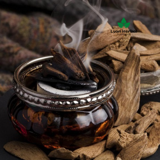 Hộp 10 cây Than hoạt tính xông trầm xông thảo mộc dể cháy, than đốt trầm hương đốt tẩy uế, hun gỗ it khói , không mùi, cháy lâu