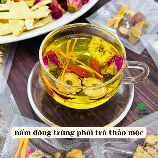 Trà "Dể Ngủ" Cúc Vàng thảo mộc giúp ngủ ngon sâu giấc tốt cho sức khỏe bỏ huyết an thần dưỡng tâm