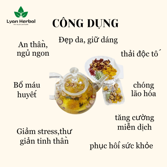 Trà "Dể Ngủ" Cúc Vàng thảo mộc giúp ngủ ngon sâu giấc tốt cho sức khỏe bỏ huyết an thần dưỡng tâm