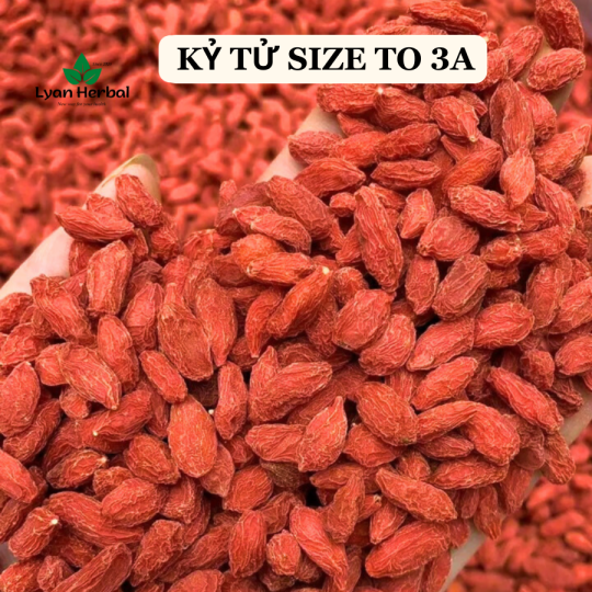 Trà "Dể Ngủ" Cúc Vàng thảo mộc giúp ngủ ngon sâu giấc tốt cho sức khỏe bỏ huyết an thần dưỡng tâm