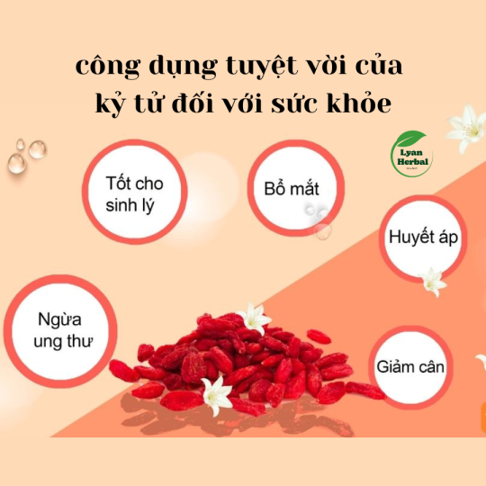 Trà "Bổ Dưỡng" đông trùng táo đỏ kỷ tử bồi bổ khí huyết bổ sung dinh dưỡng bổ máu hồi phục sức khỏe cho người bệnh